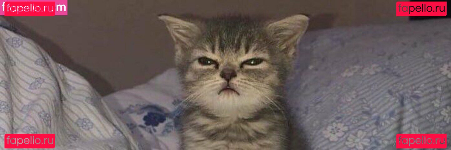 elinalinix / elinalinx Onlyfans Photo Gallery 