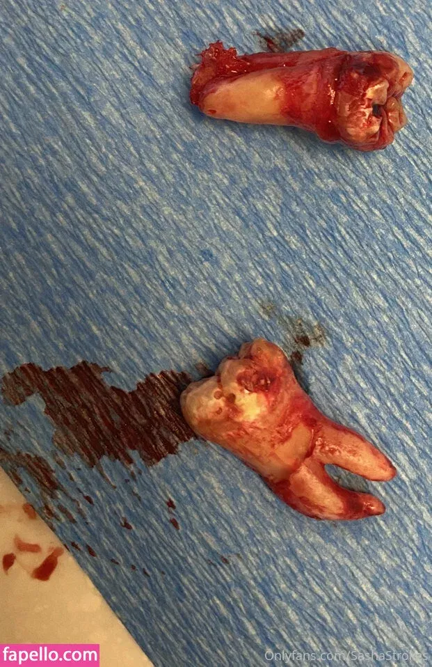 sashastrokes Onlyfans Photo Gallery 