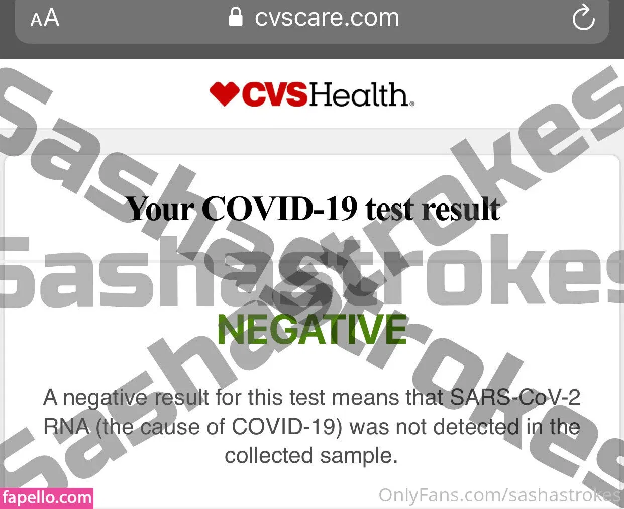 sashastrokes Onlyfans Photo Gallery 