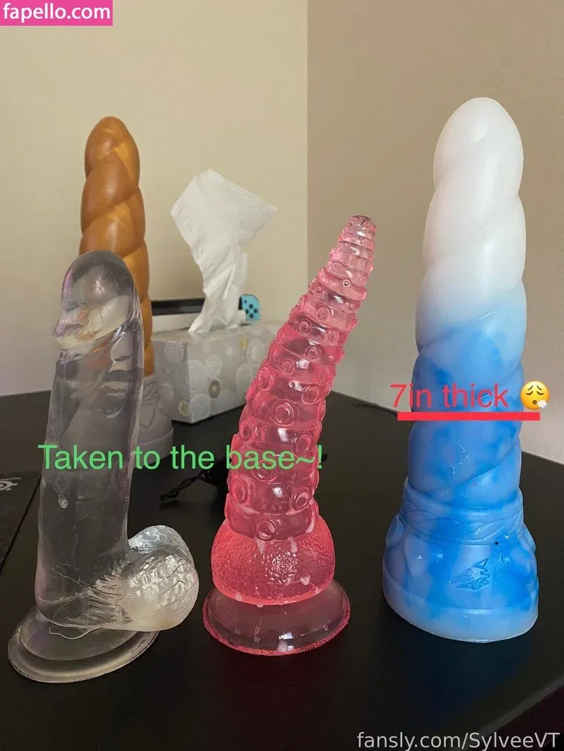 SylveeVT Onlyfans Photo Gallery 