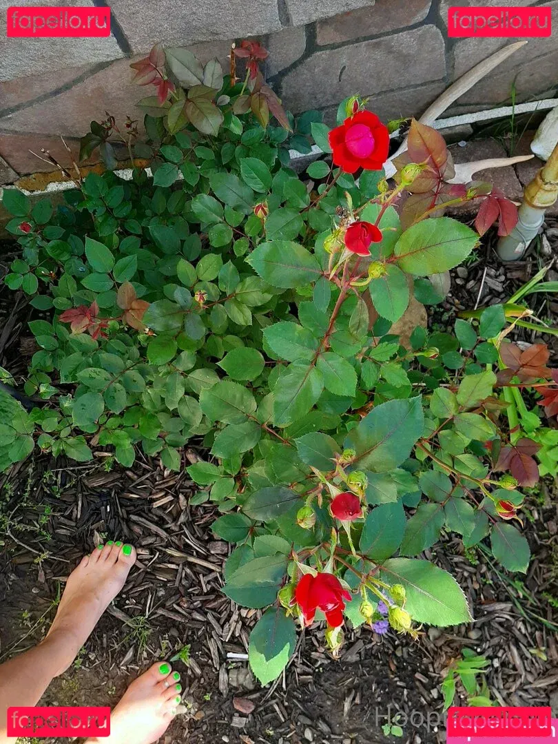 hoopinghippie23 Onlyfans Photo Gallery 