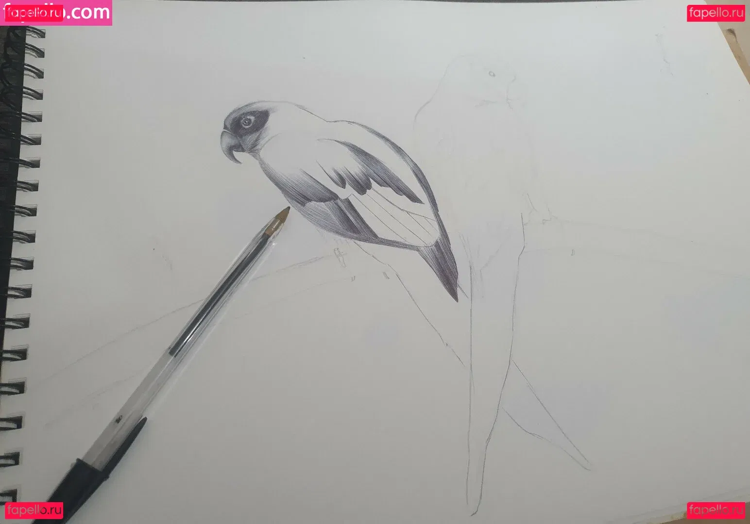 Somethingnotsilly Onlyfans Photo Gallery 