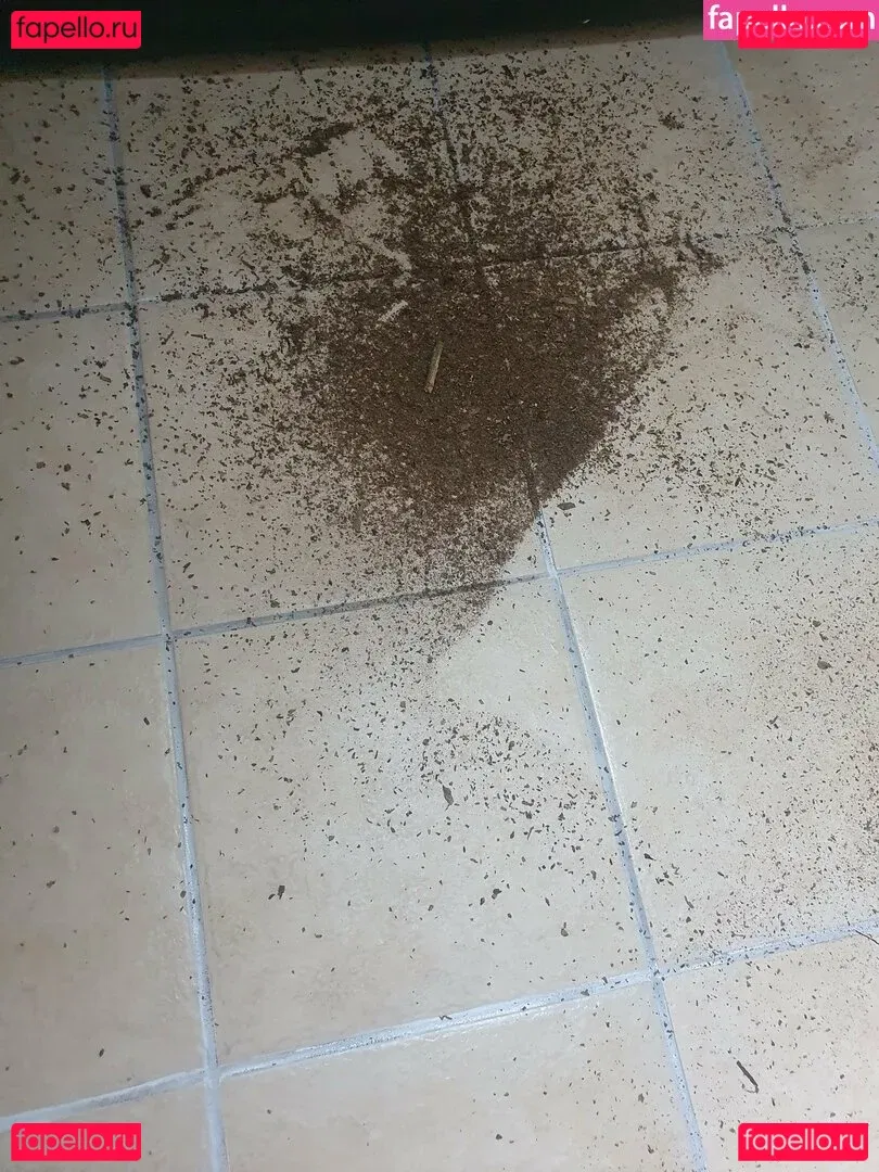 Somethingnotsilly Onlyfans Photo Gallery 