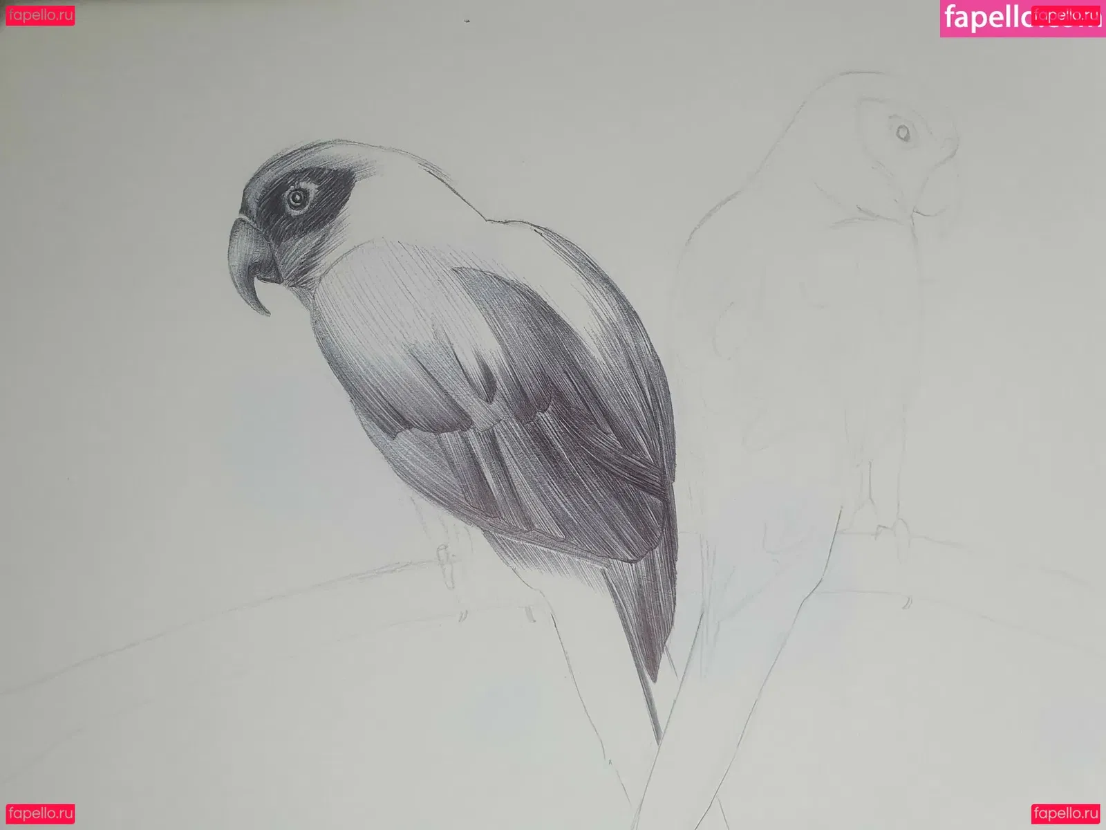 Somethingnotsilly Onlyfans Photo Gallery 