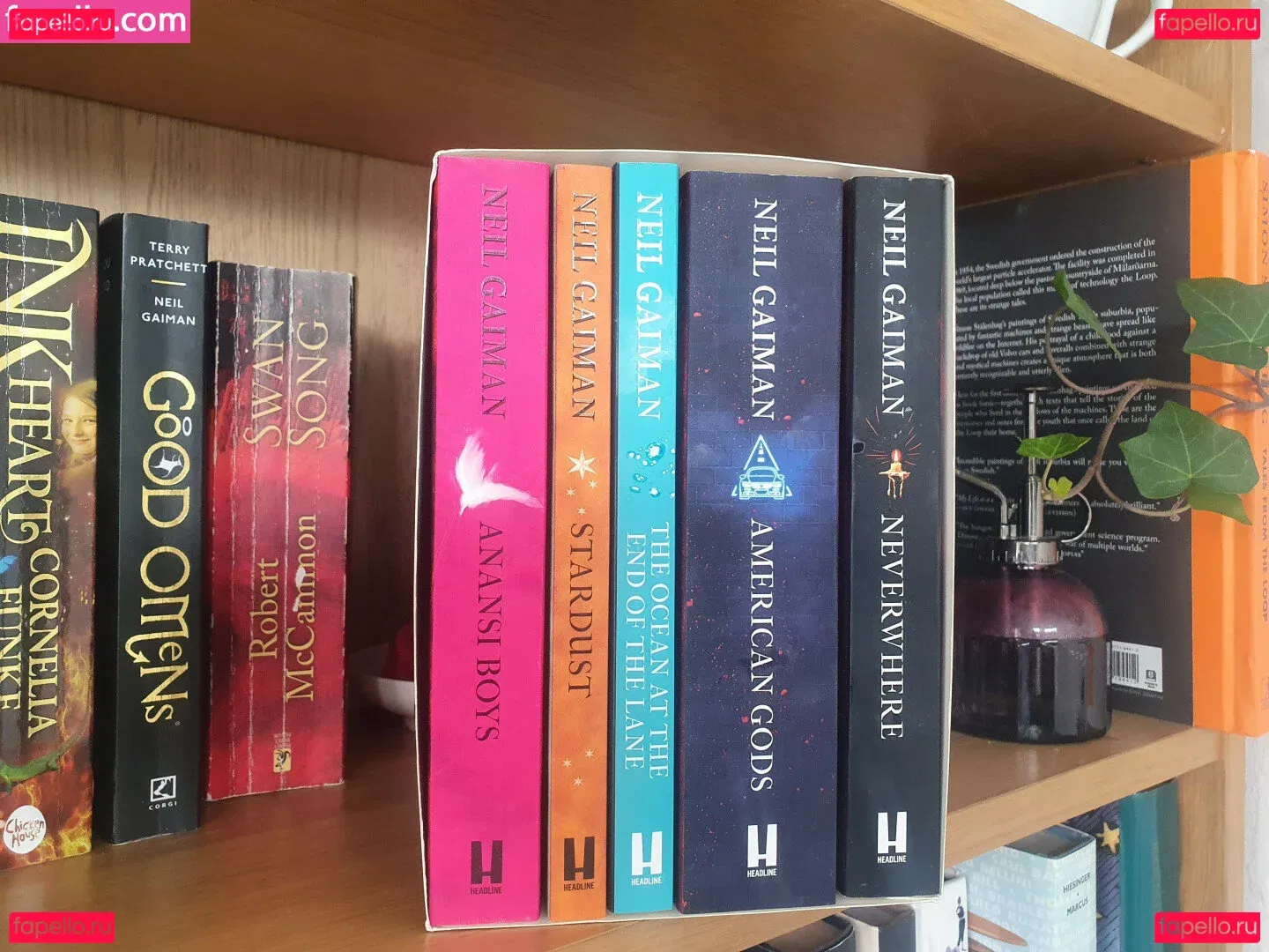 Somethingnotsilly Onlyfans Photo Gallery 