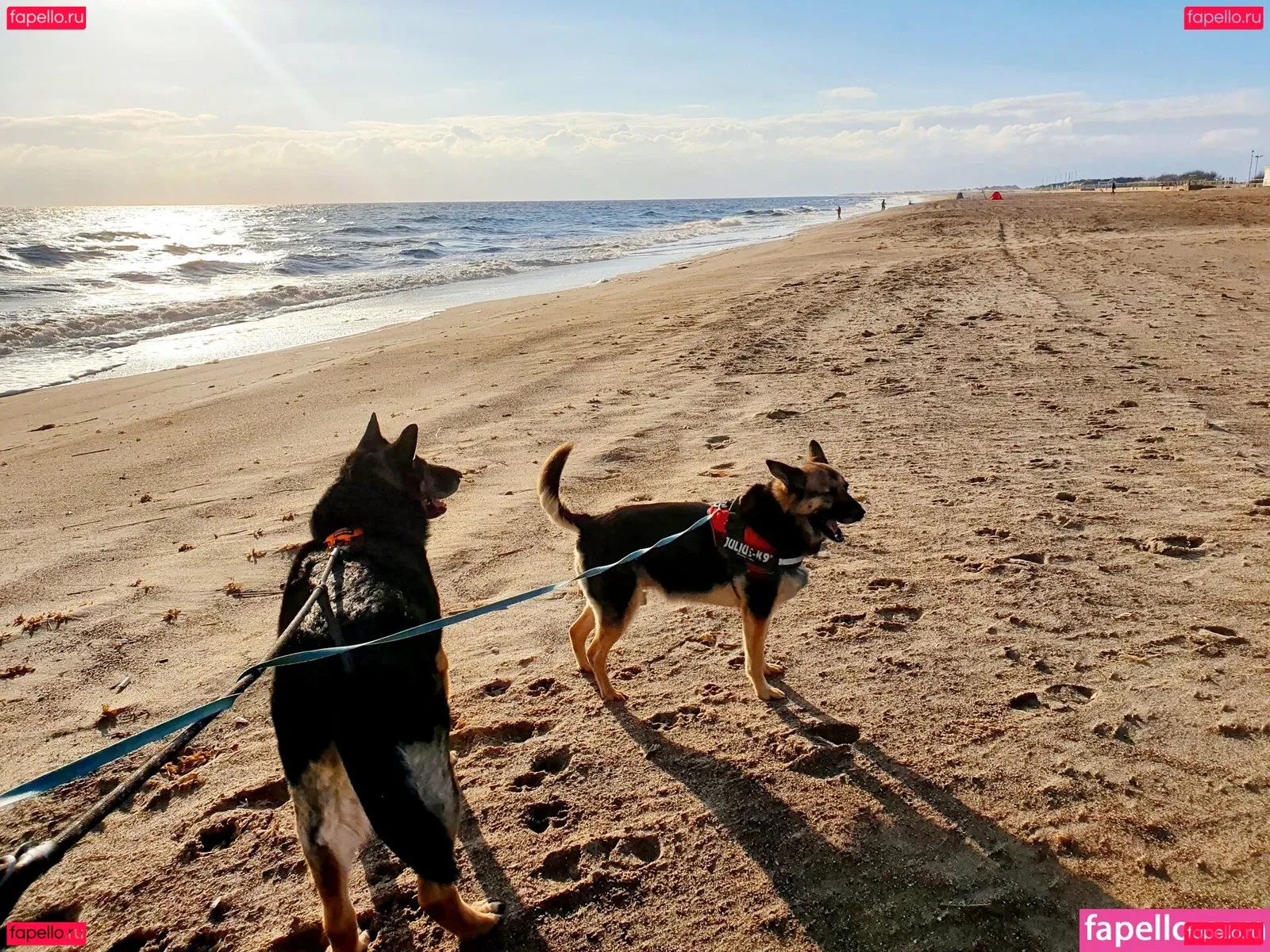 Somethingnotsilly Onlyfans Photo Gallery 