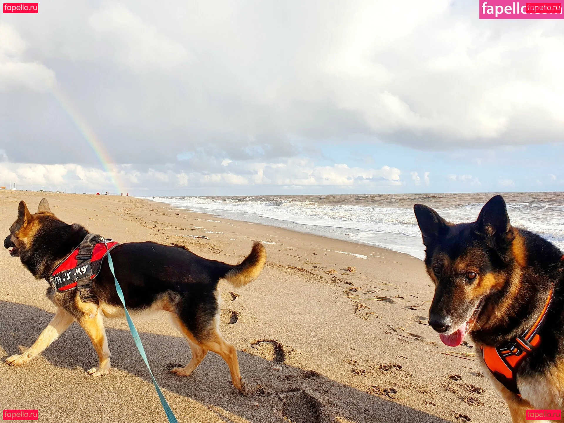 Somethingnotsilly Onlyfans Photo Gallery 