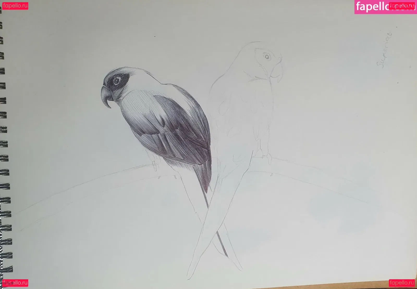 Somethingnotsilly Onlyfans Photo Gallery 