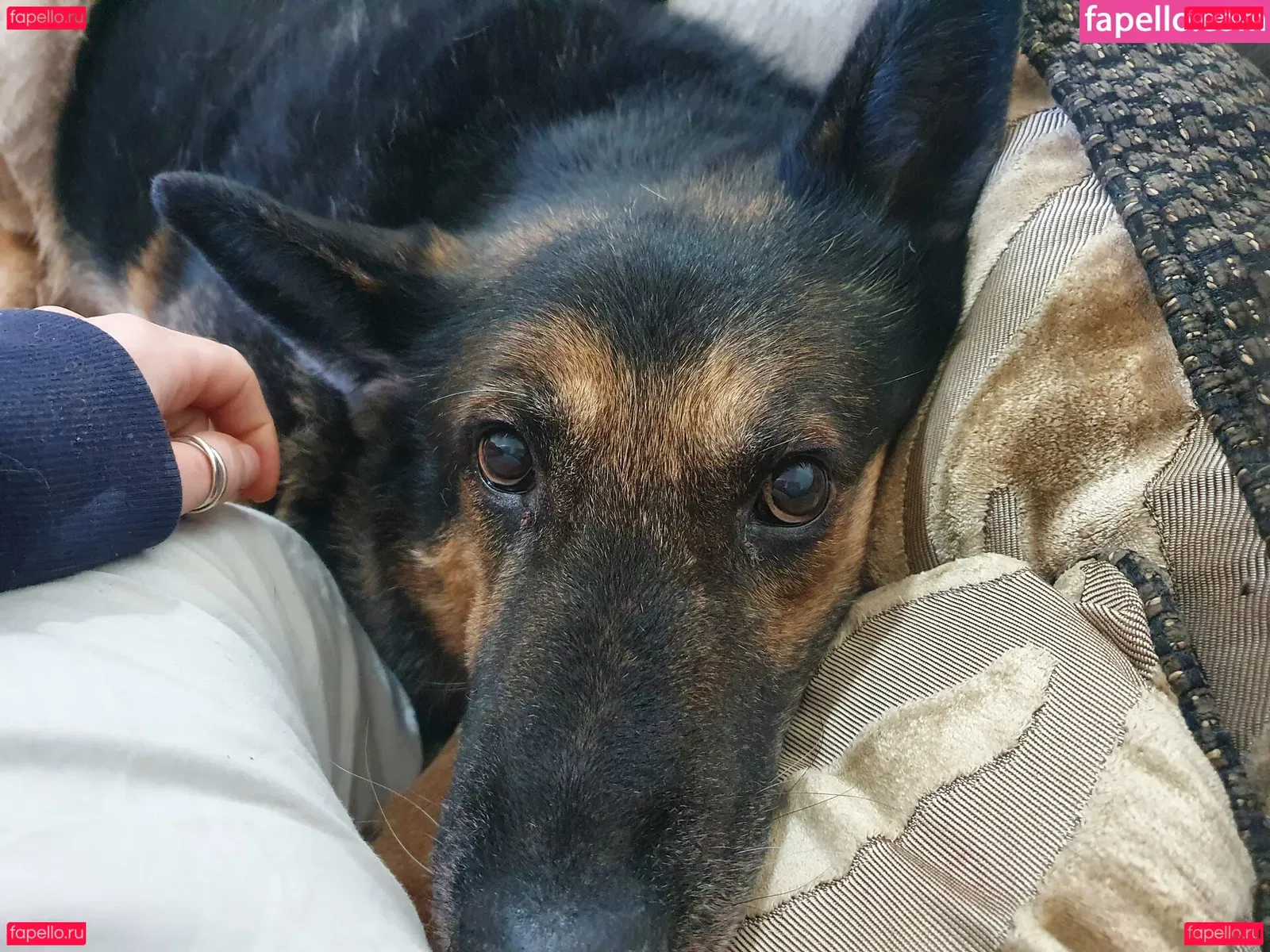 Somethingnotsilly Onlyfans Photo Gallery 