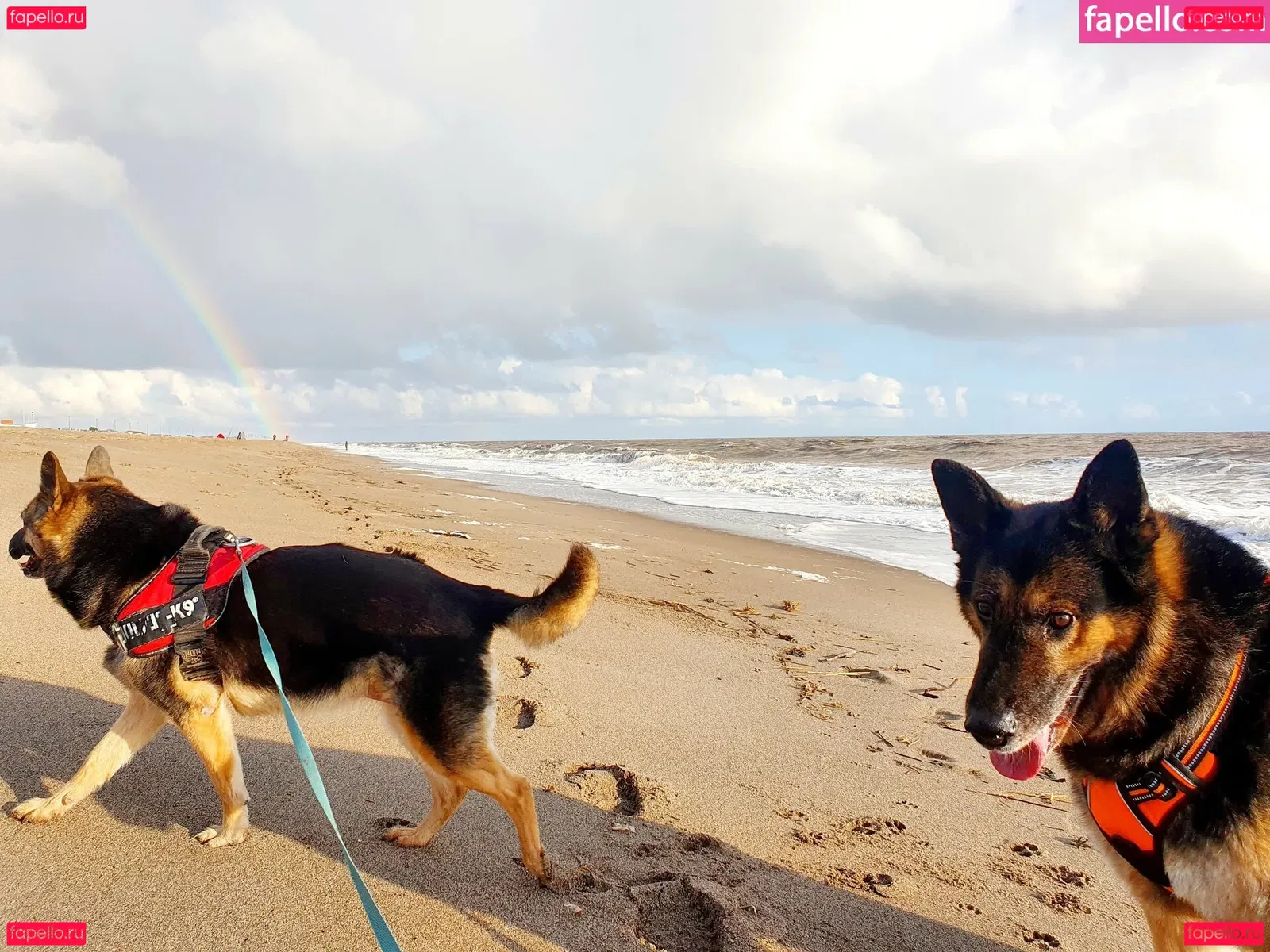 Somethingnotsilly Onlyfans Photo Gallery 