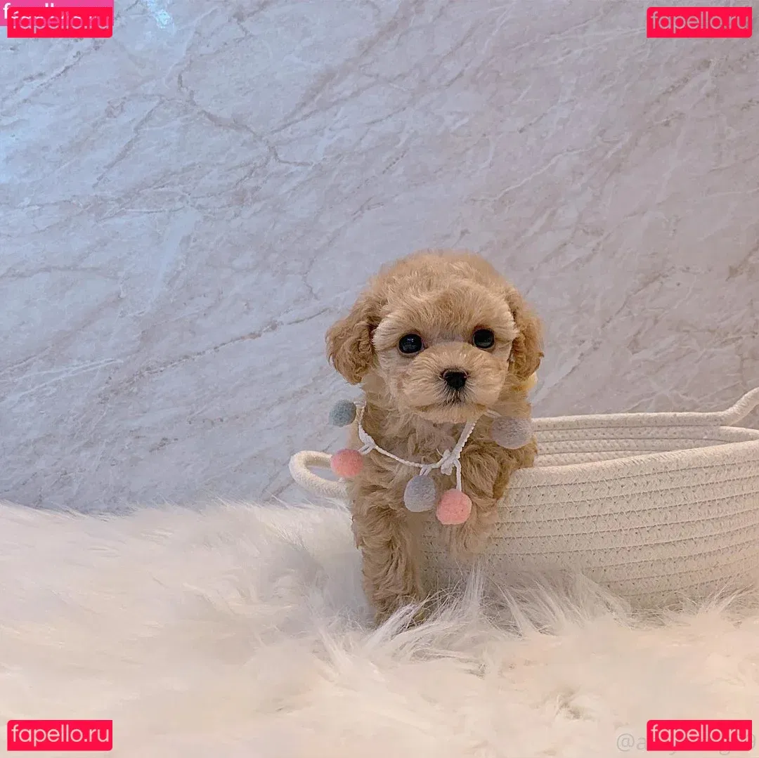 gaki_aiko Onlyfans Photo Gallery 