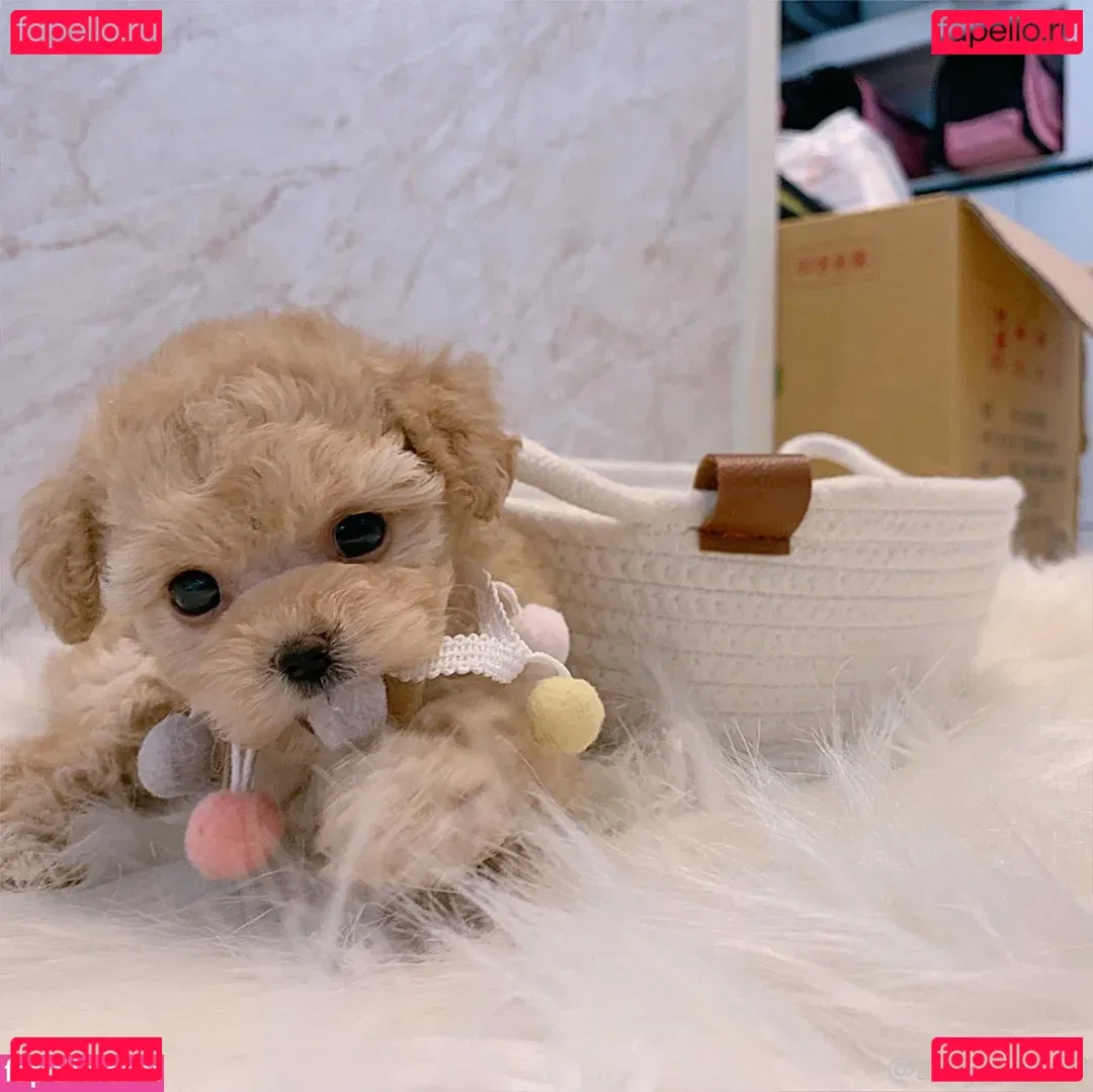 gaki_aiko Onlyfans Photo Gallery 