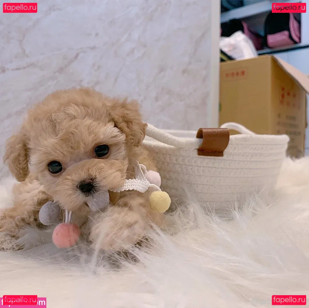 gaki_aiko Onlyfans Photo Gallery 