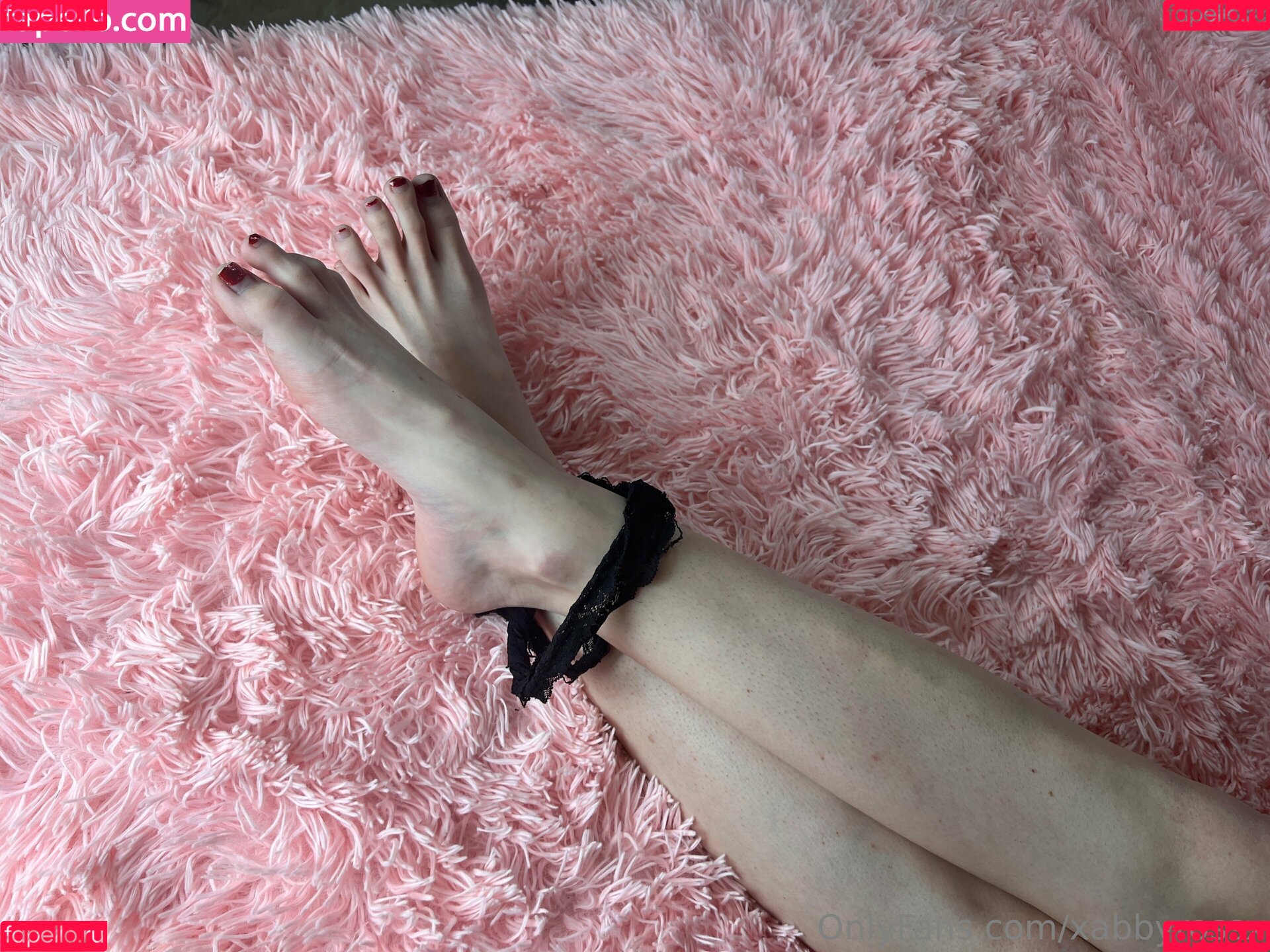 xabbyrossx Onlyfans Photo Gallery 