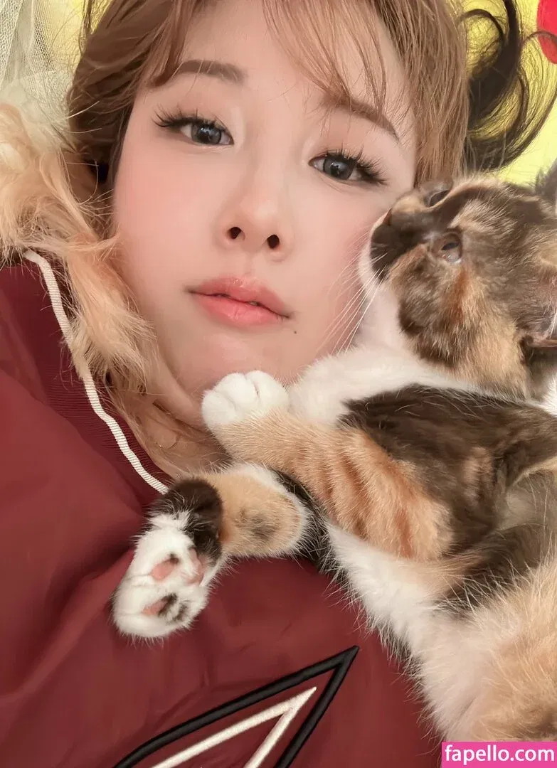 Starsmitten Onlyfans Photo Gallery 