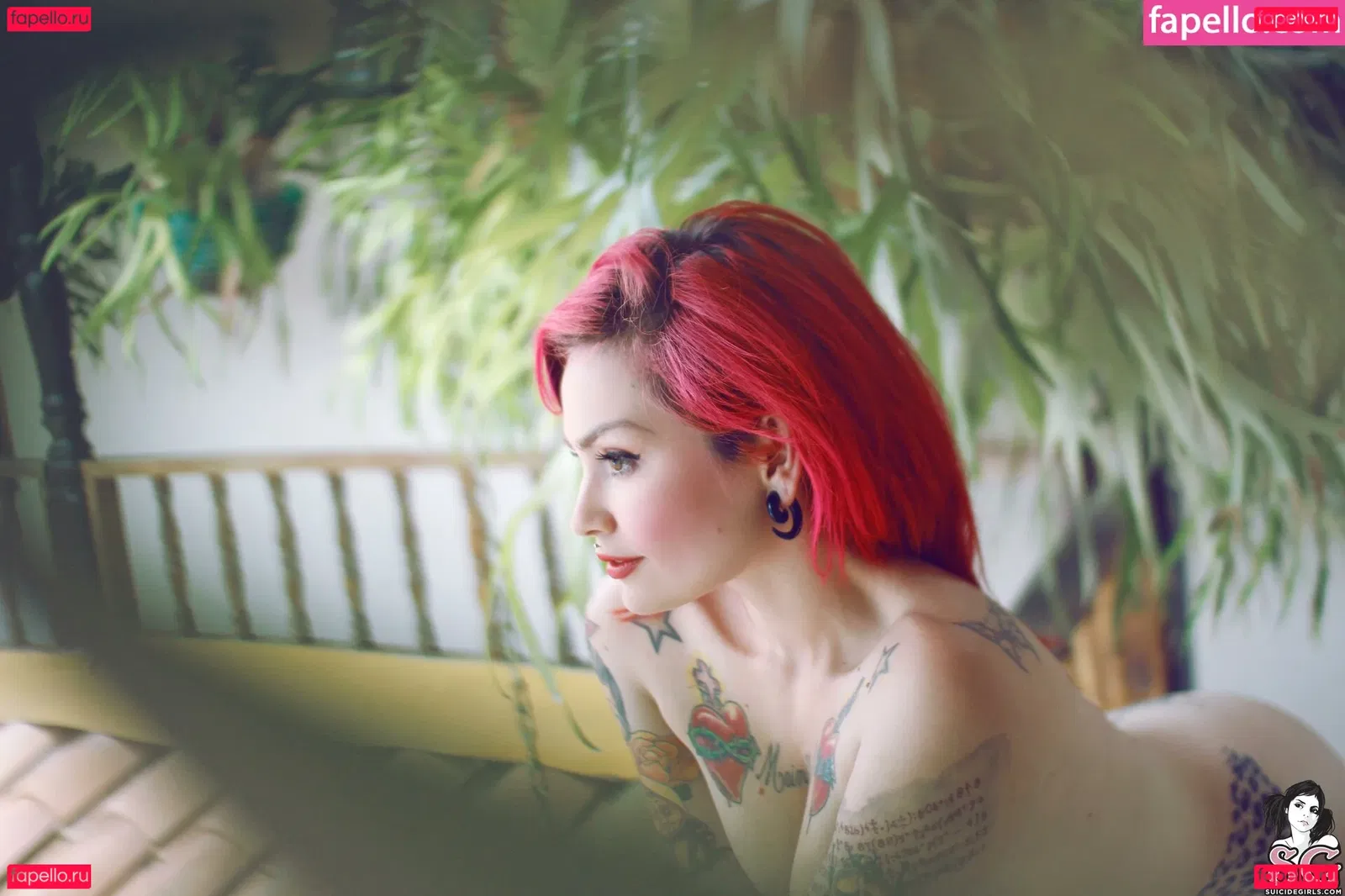 Fernanda Mercury Onlyfans Photo Gallery 