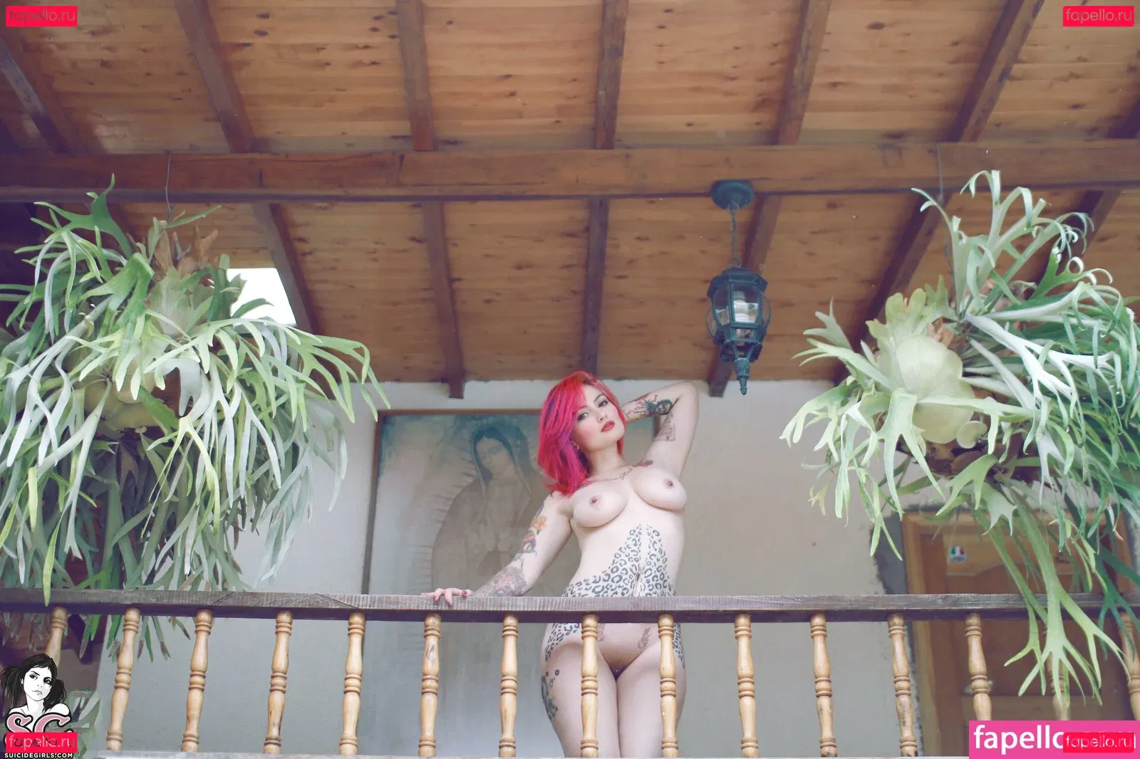 Fernanda Mercury Onlyfans Photo Gallery 