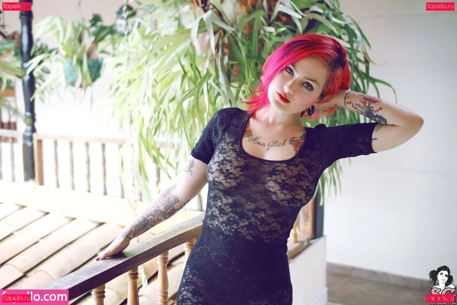 Fernanda Mercury Onlyfans Photo Gallery 