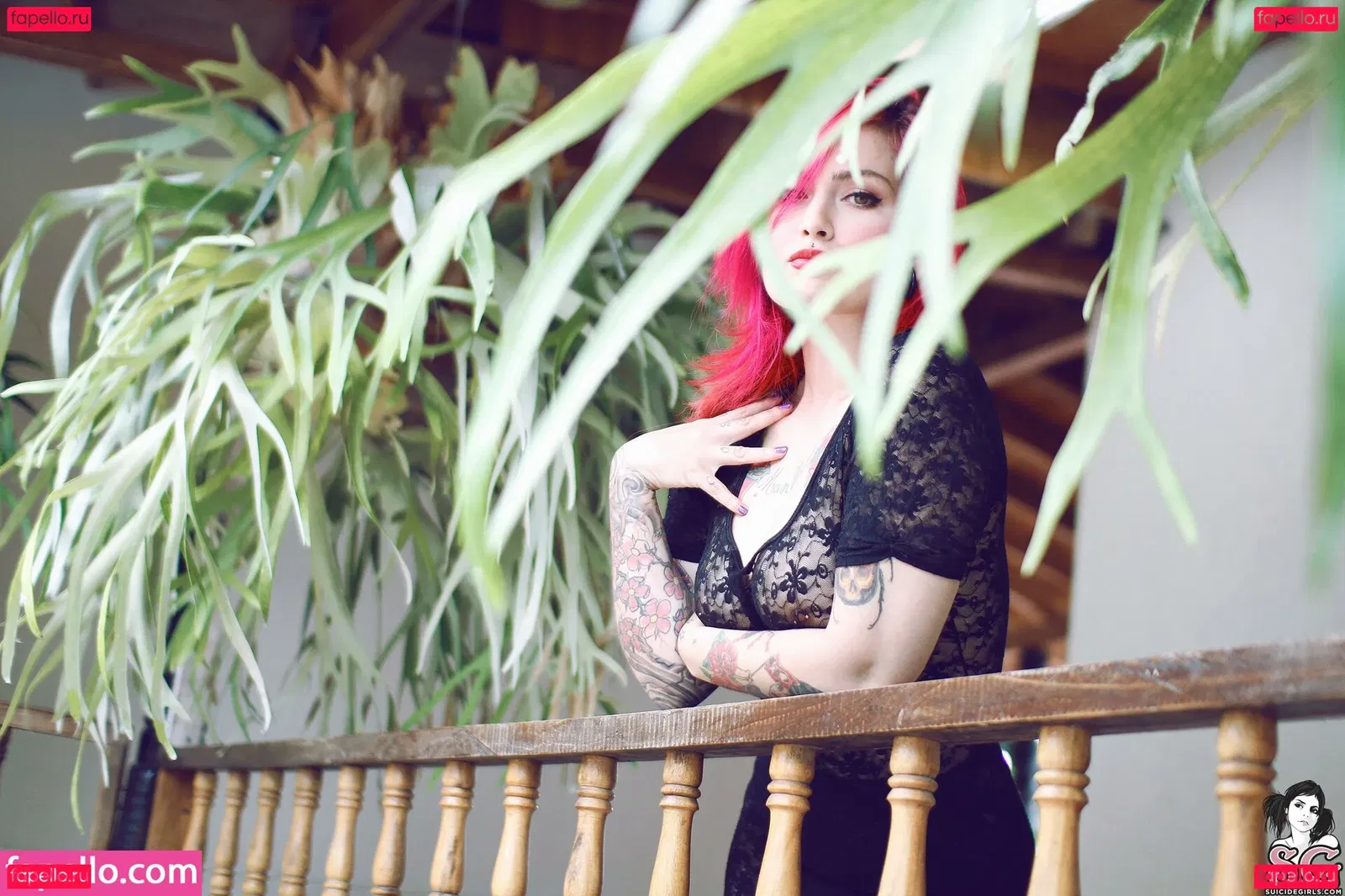 Fernanda Mercury Onlyfans Photo Gallery 