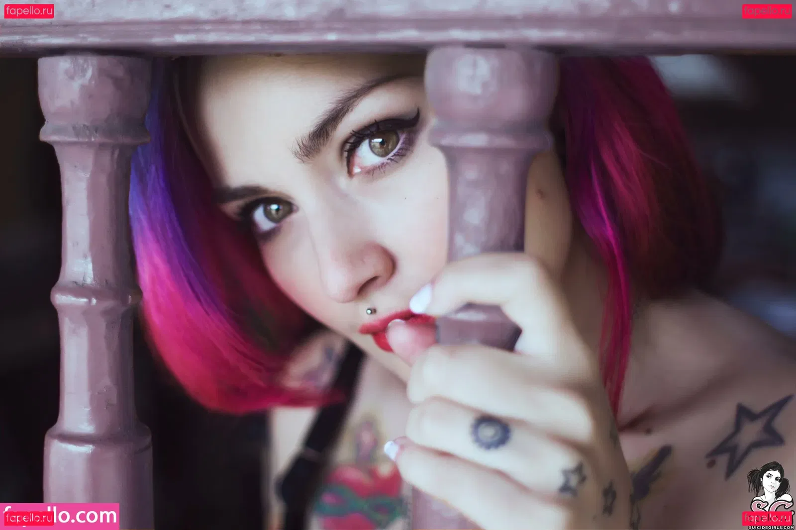 Fernanda Mercury Onlyfans Photo Gallery 