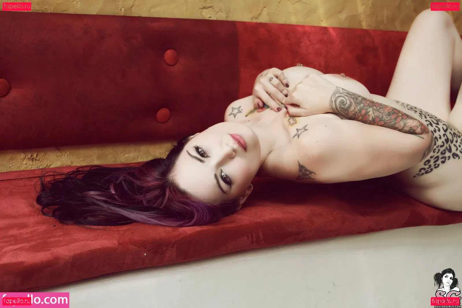 Fernanda Mercury Onlyfans Photo Gallery 