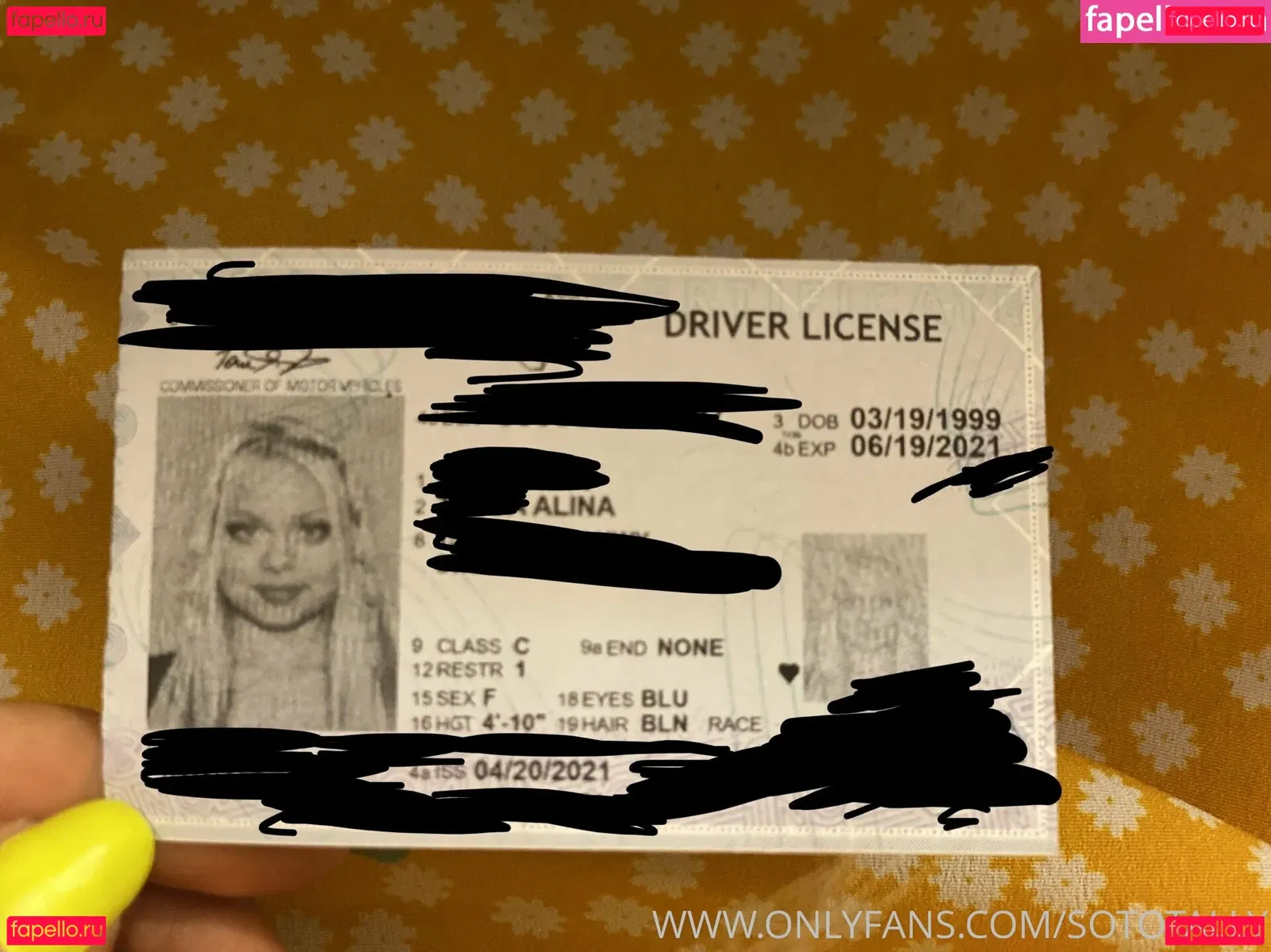 sototally Onlyfans Photo Gallery 