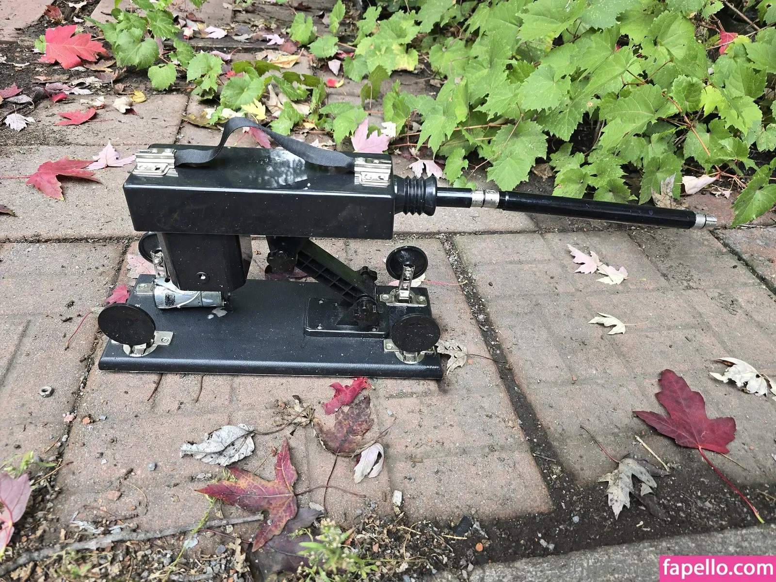 xomel Onlyfans Photo Gallery 