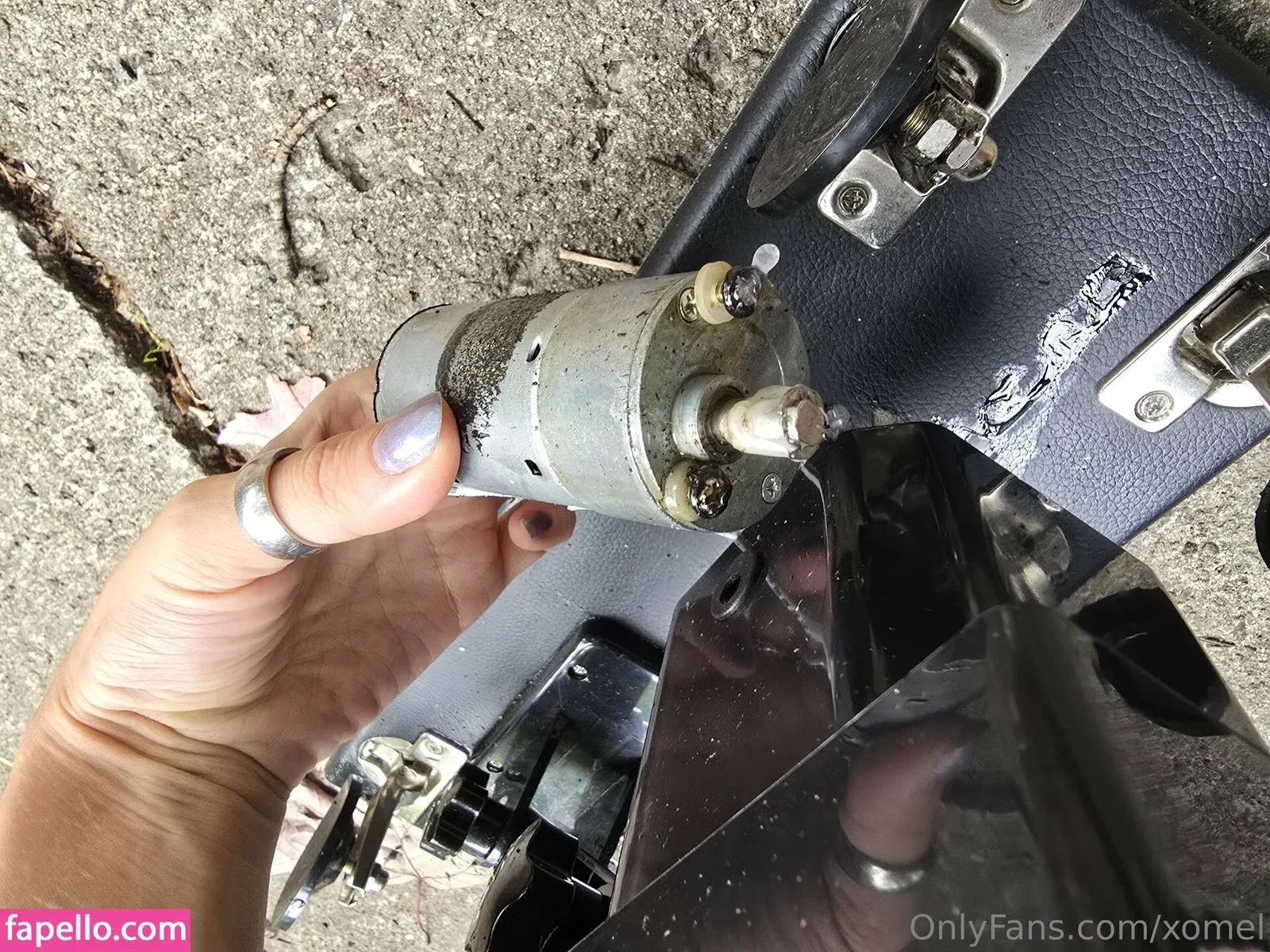 xomel Onlyfans Photo Gallery 