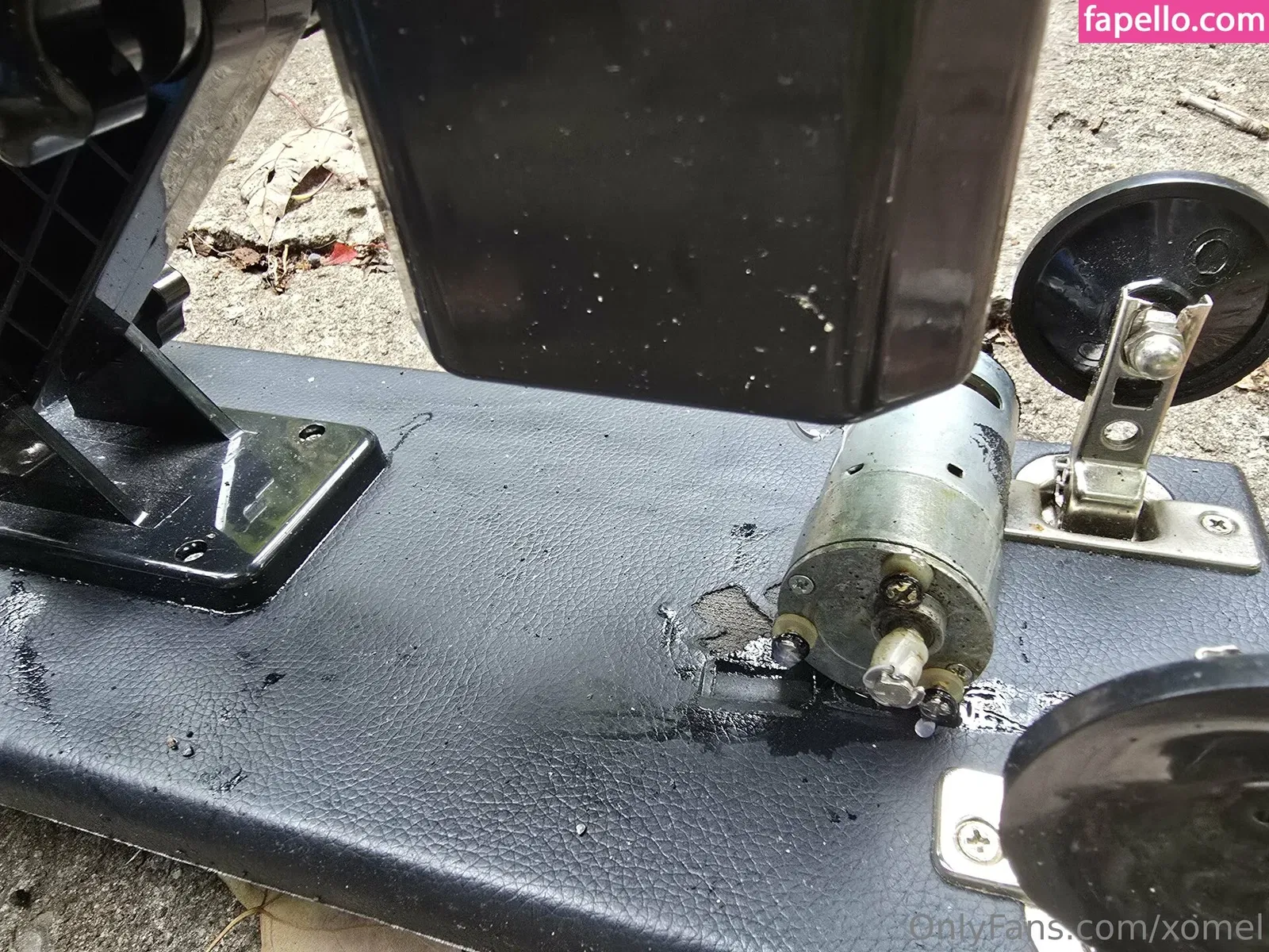 xomel Onlyfans Photo Gallery 