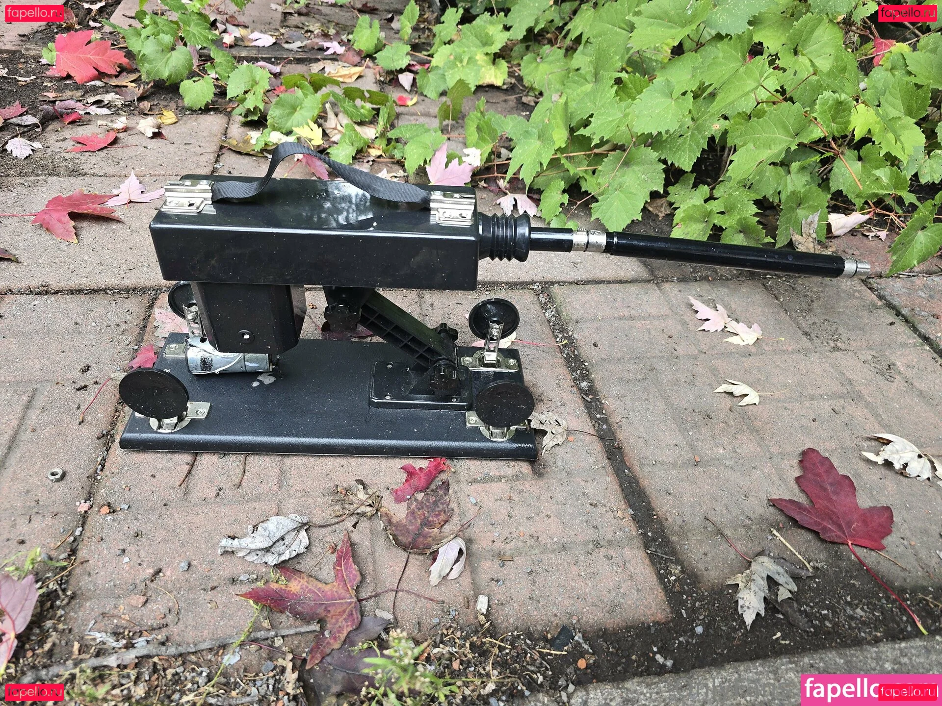 xomel Onlyfans Photo Gallery 