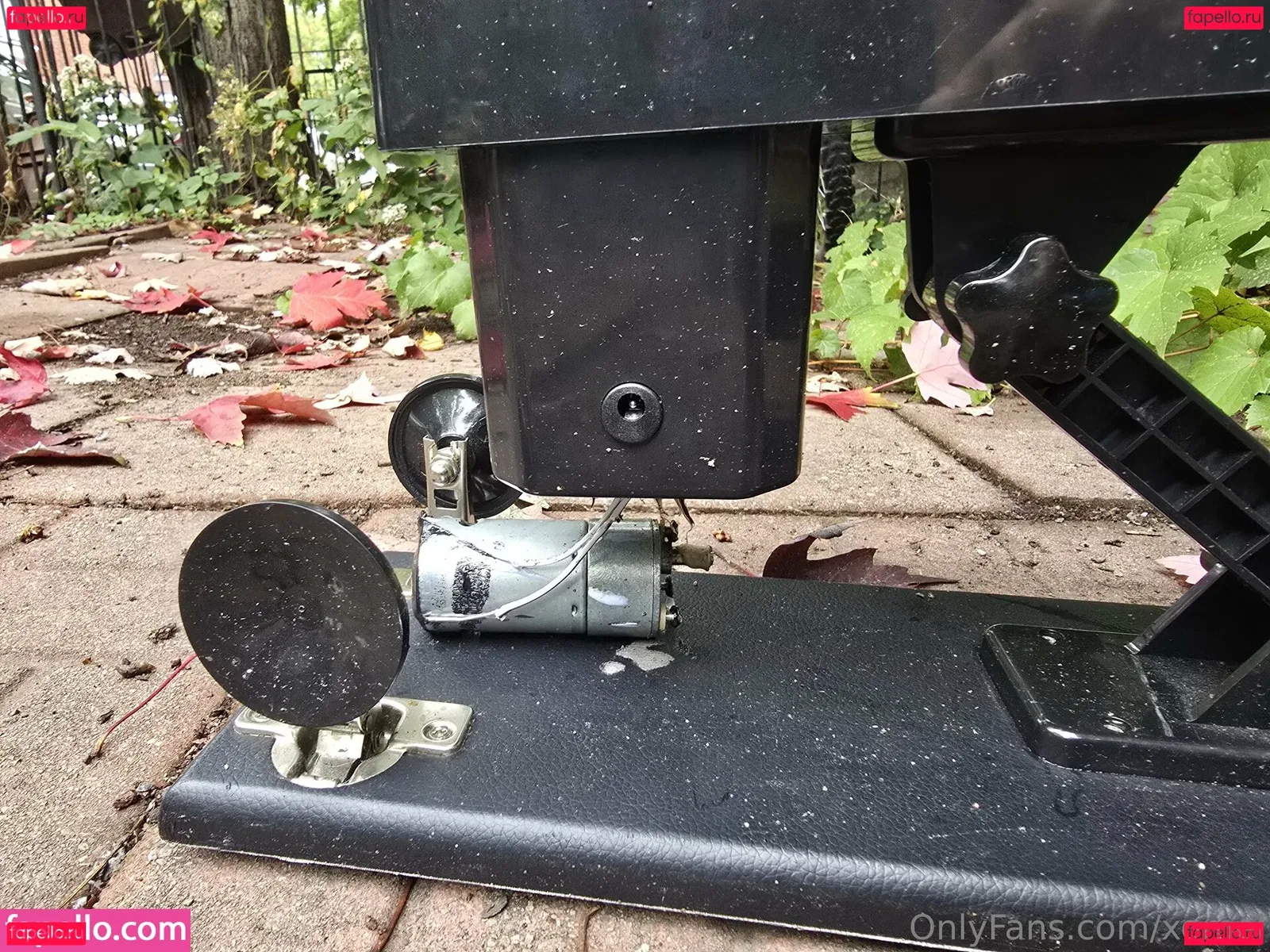 xomel Onlyfans Photo Gallery 