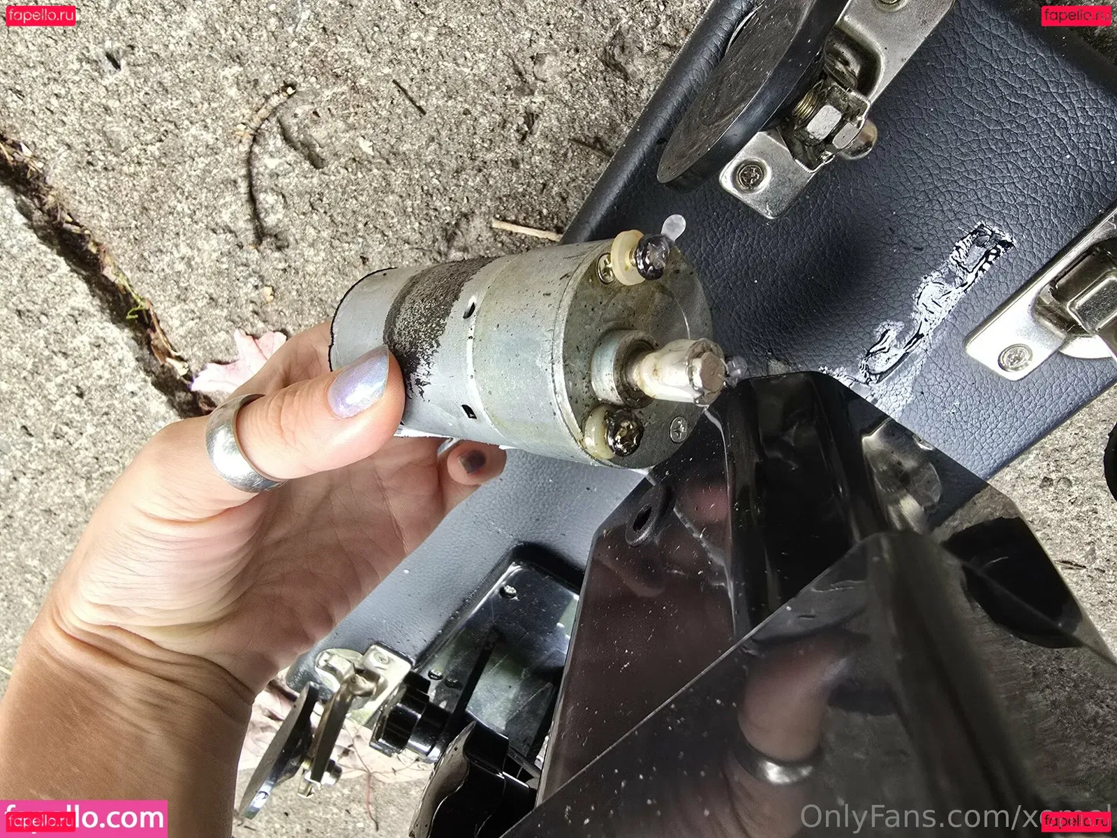 xomel Onlyfans Photo Gallery 