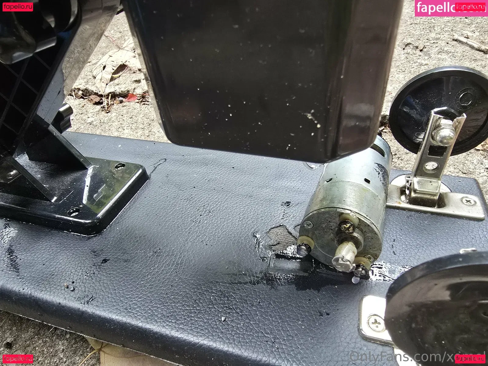 xomel Onlyfans Photo Gallery 