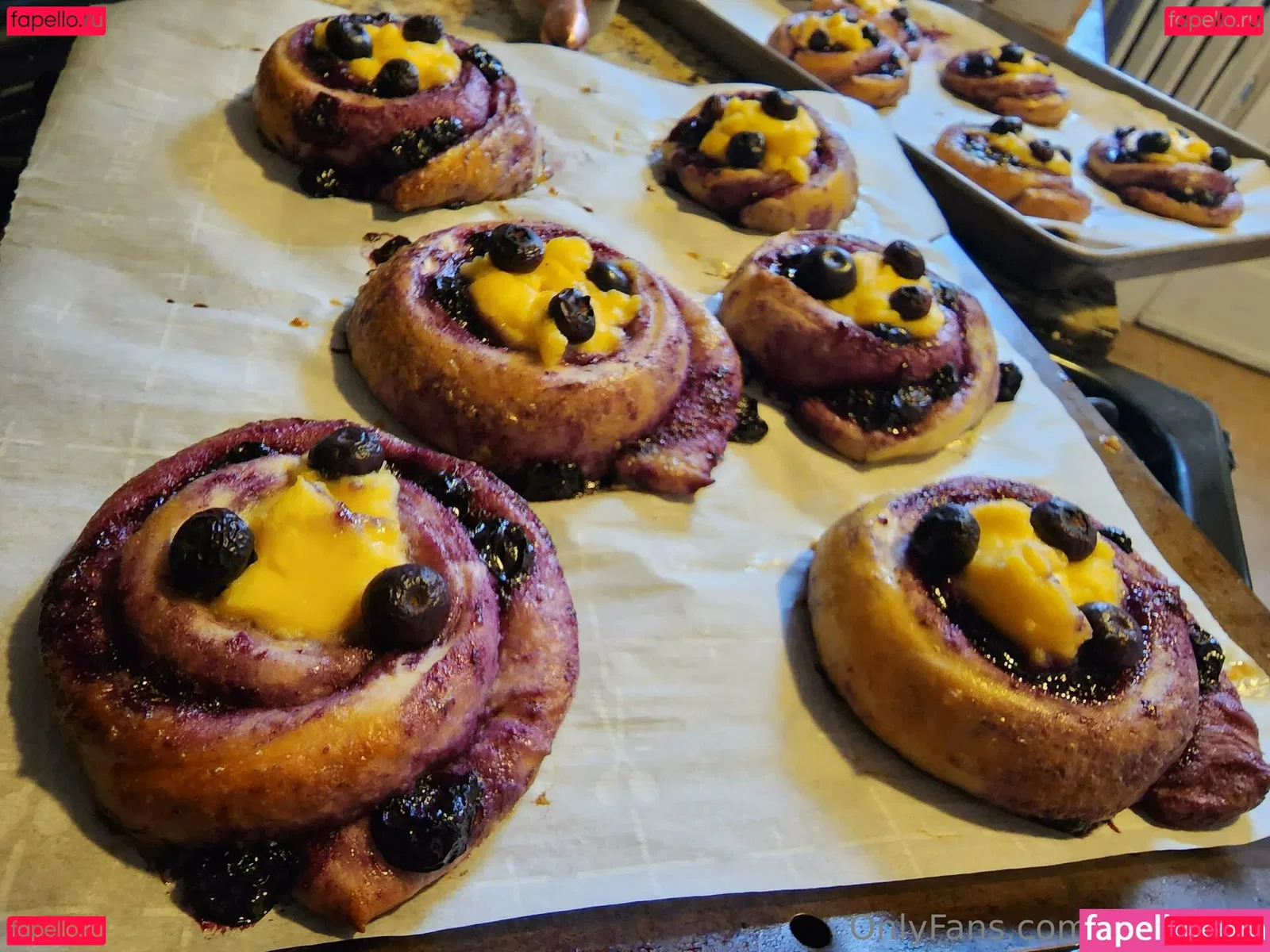 zoelevain Onlyfans Photo Gallery 