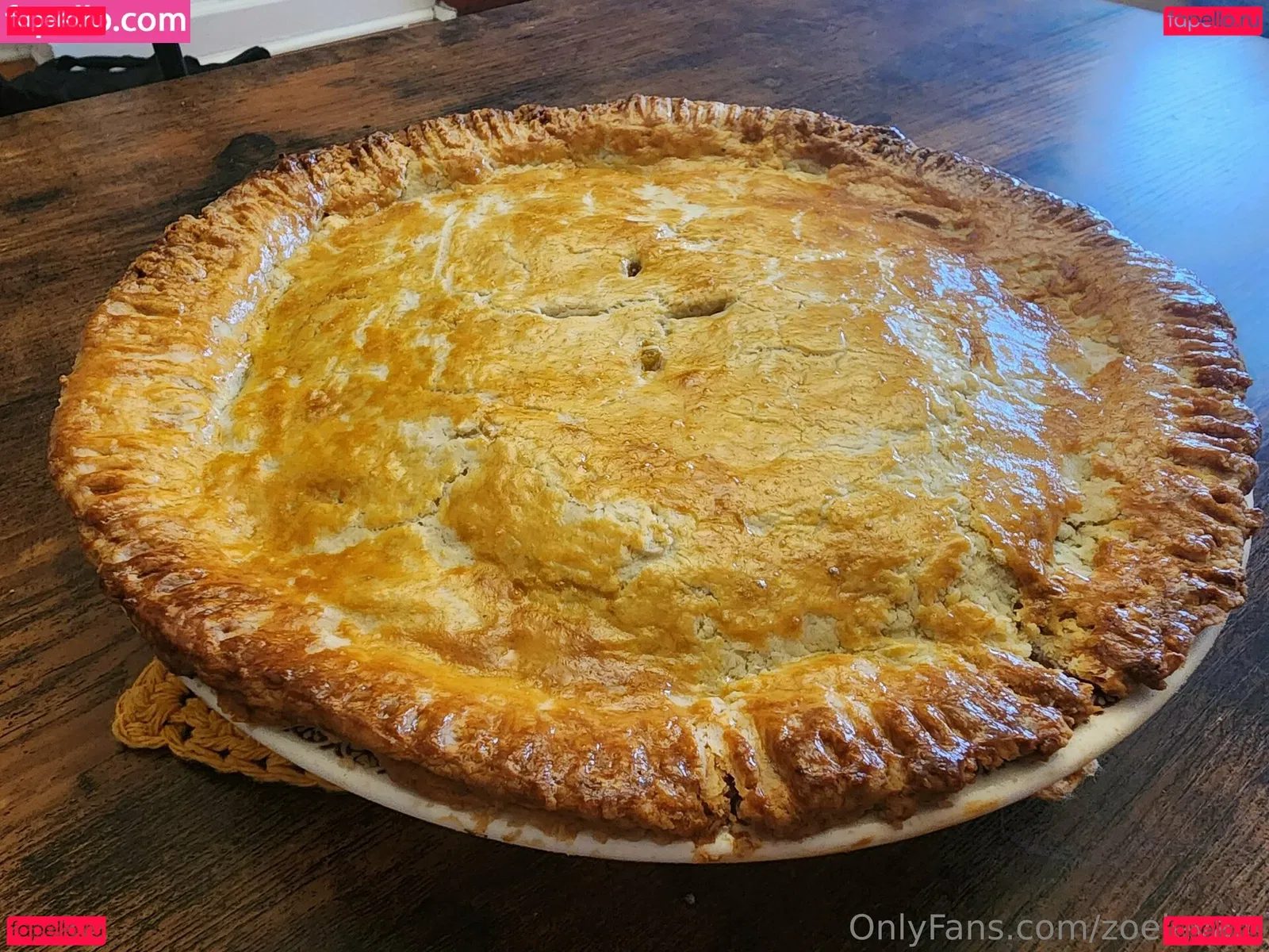 zoelevain Onlyfans Photo Gallery 