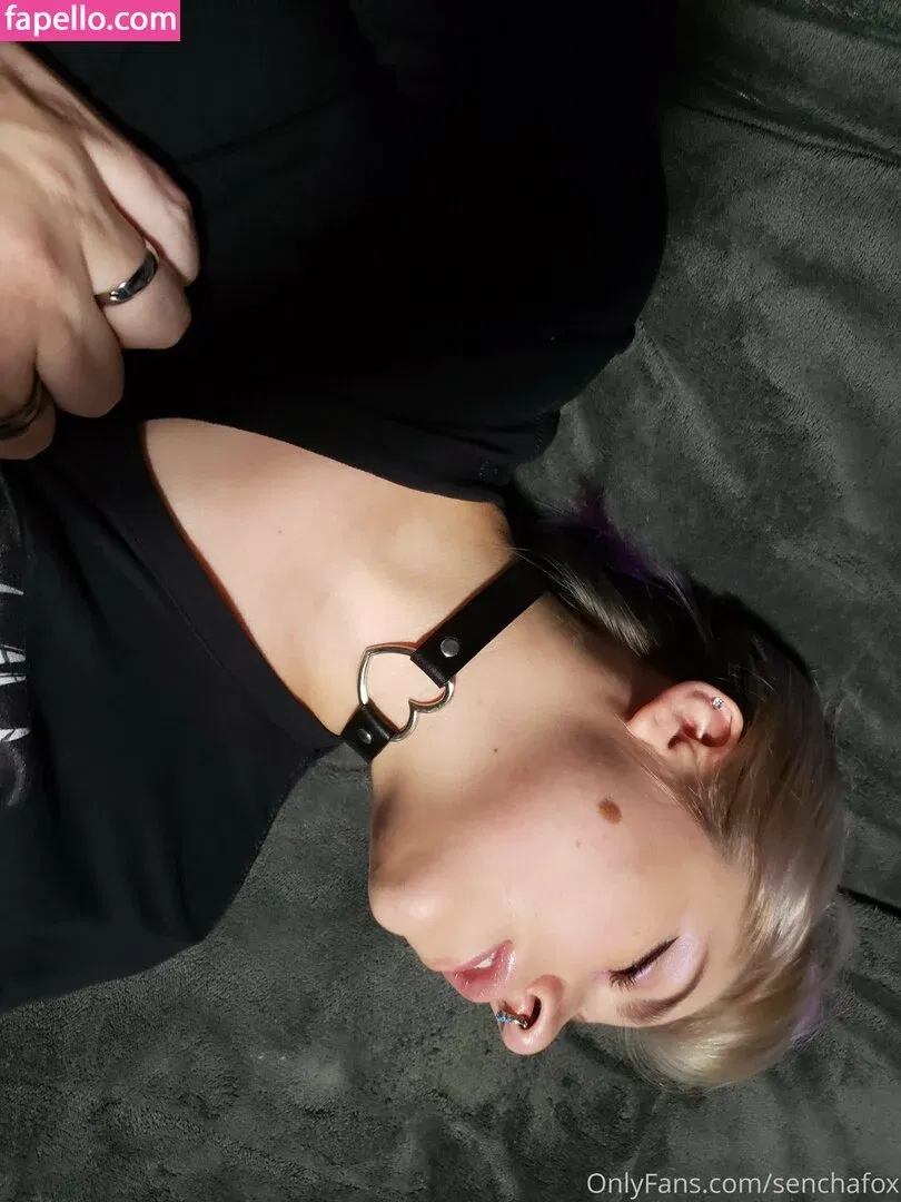 senchafox Onlyfans Photo Gallery 