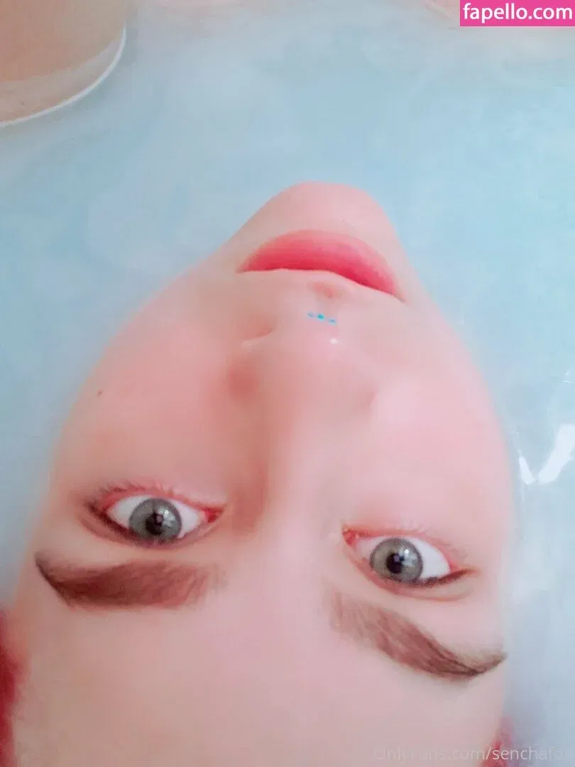 senchafox Onlyfans Photo Gallery 