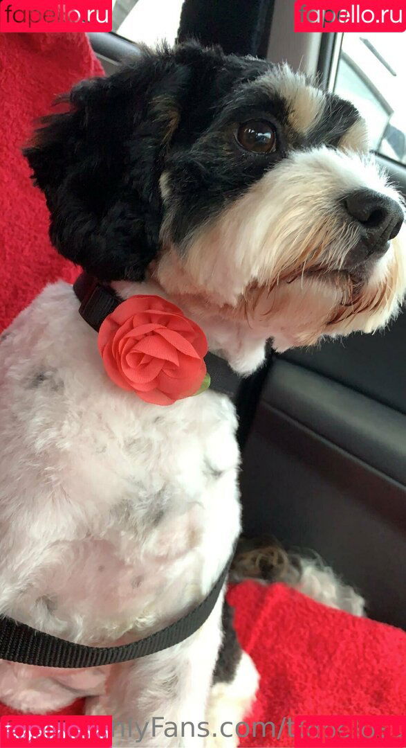 toniclust Onlyfans Photo Gallery 