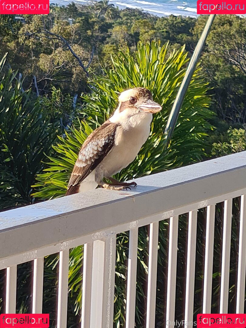 toniclust Onlyfans Photo Gallery 