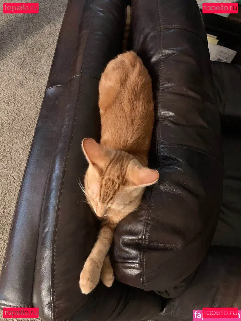 cowboytakemeaway Onlyfans Photo Gallery 