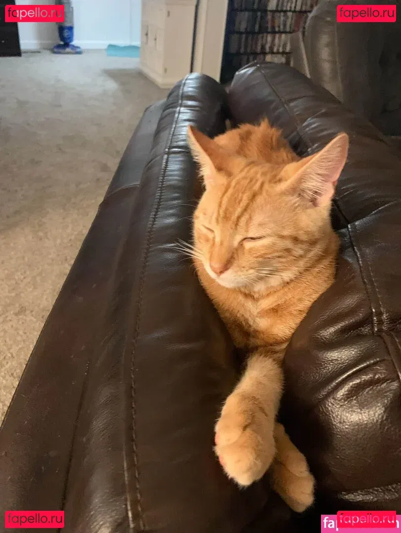 cowboytakemeaway Onlyfans Photo Gallery 