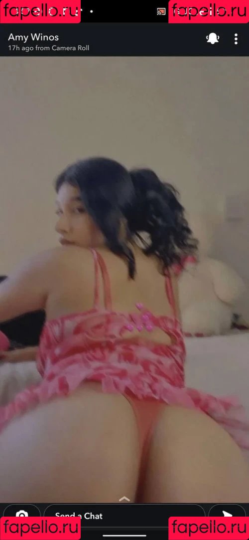 amywinos10 Onlyfans Photo Gallery 