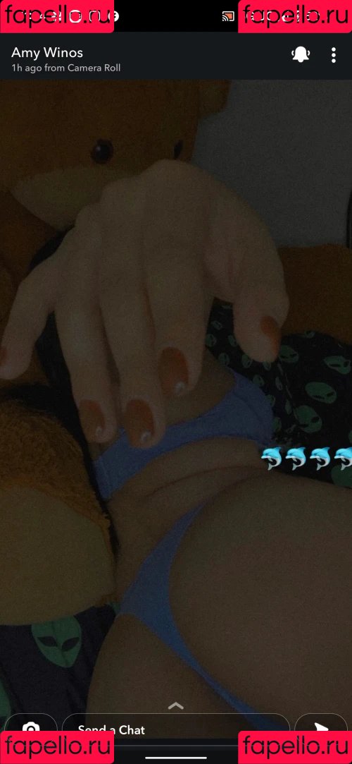 amywinos10 Onlyfans Photo Gallery 