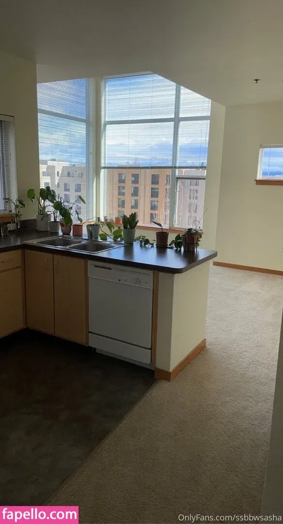 ssbbwsasha Onlyfans Photo Gallery 