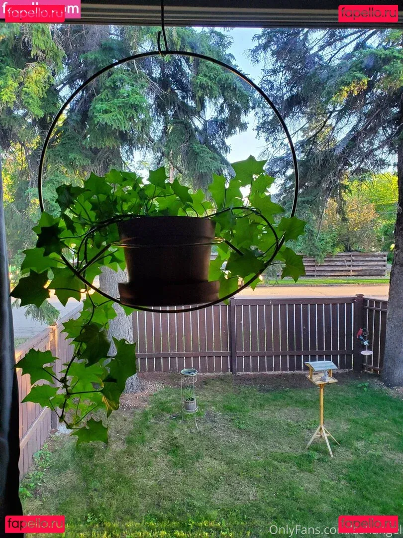 ashangel Onlyfans Photo Gallery 