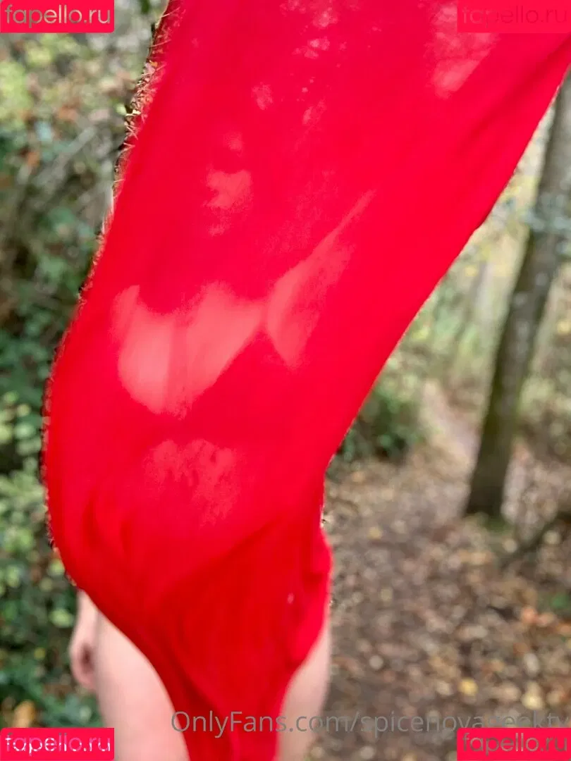spicenovageektv Onlyfans Photo Gallery 