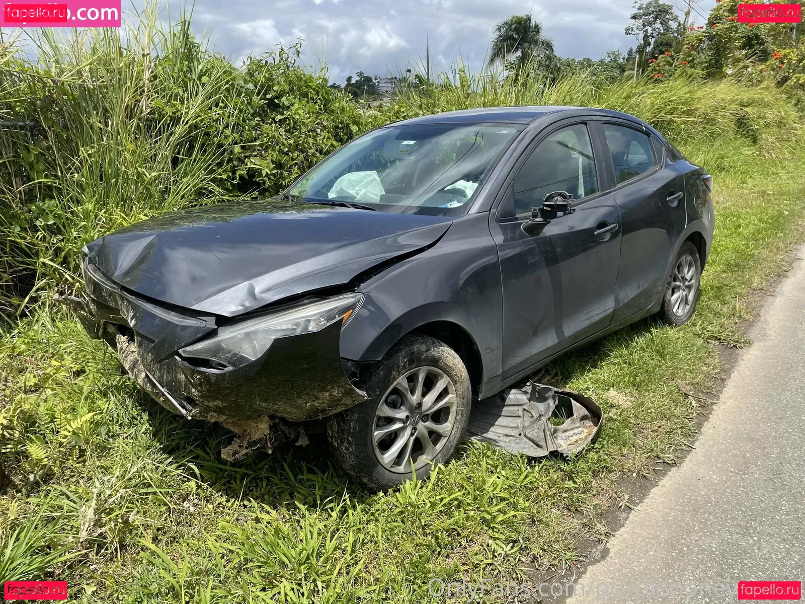 purplehoneydiesel Onlyfans Photo Gallery 