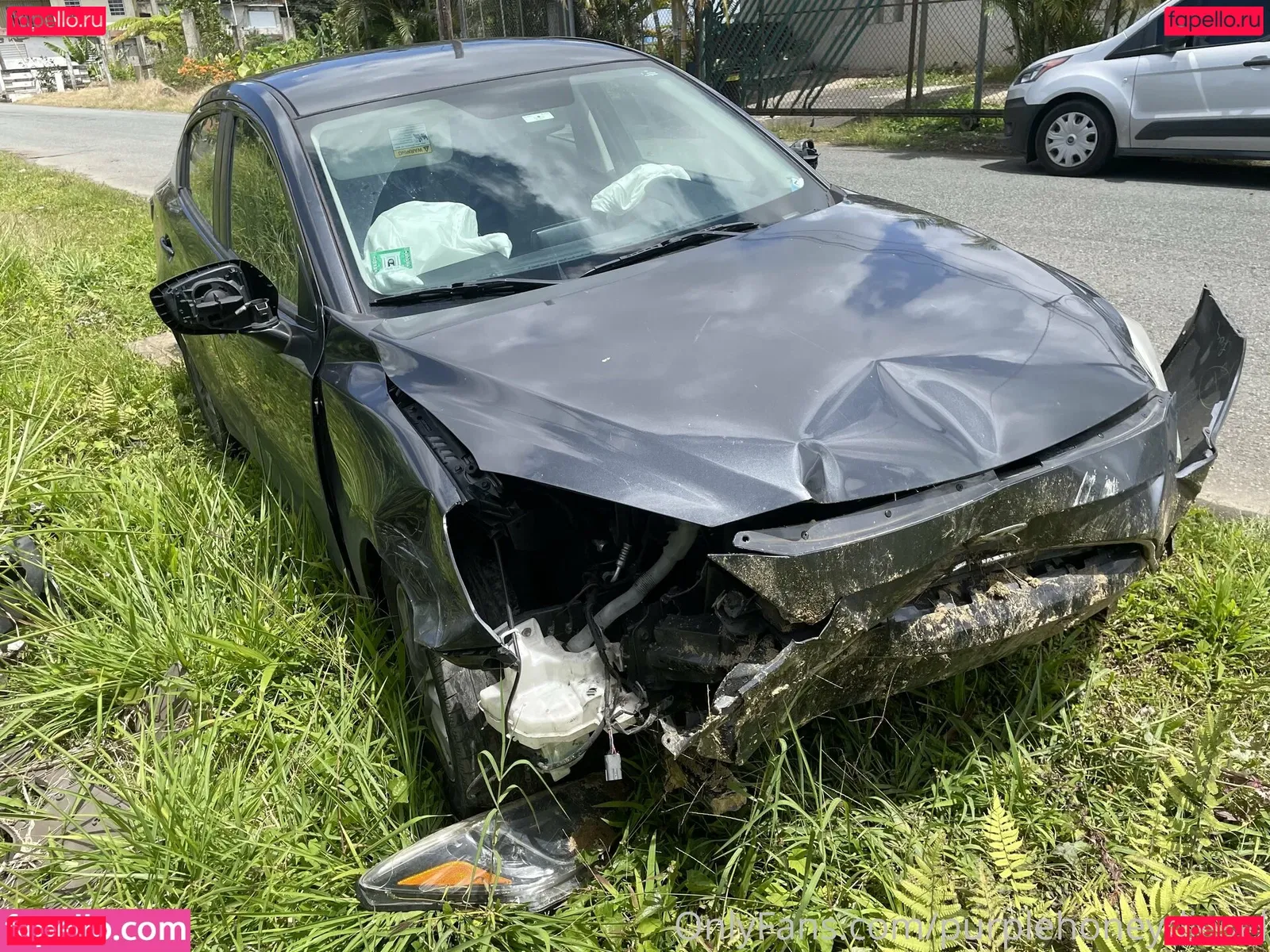 purplehoneydiesel Onlyfans Photo Gallery 