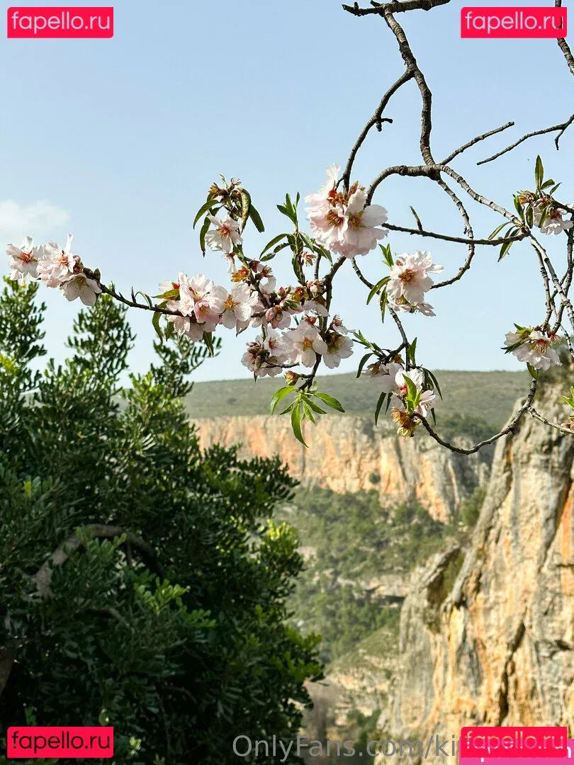 Kitty Berg Onlyfans Photo Gallery 