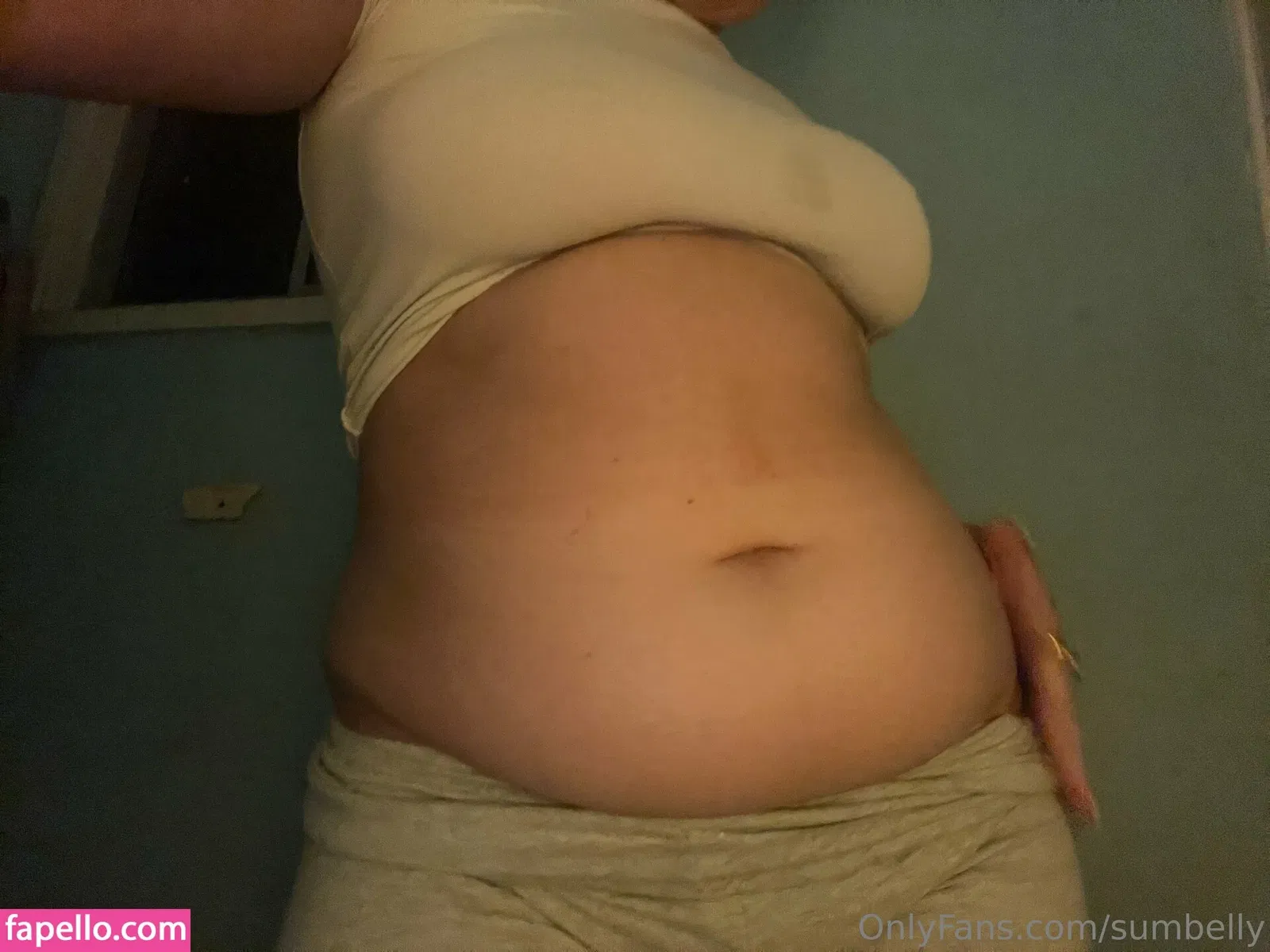 sumbelly Onlyfans Photo Gallery 